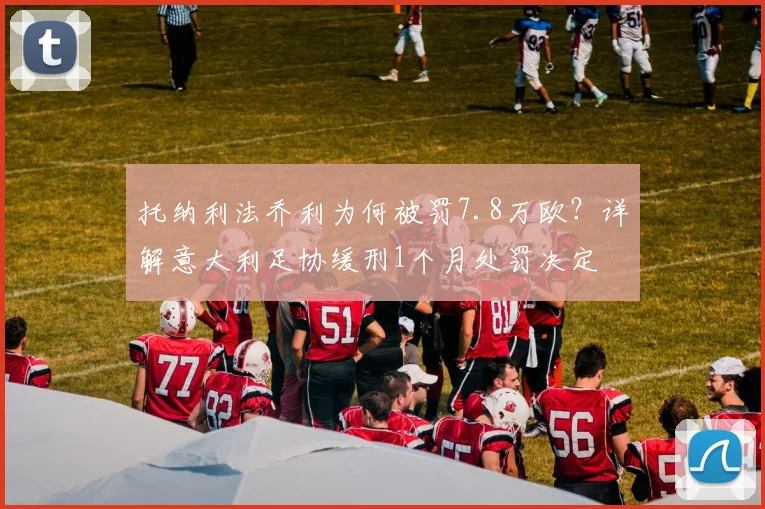 托纳利法乔利为何被罚7.8万欧？详解意大利足协缓刑1个月处罚决定